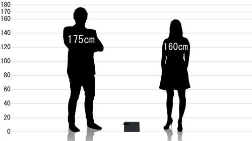男女とコンプレックスガーデンズ 枯淡 クラッチバッグの原寸サイズ比較