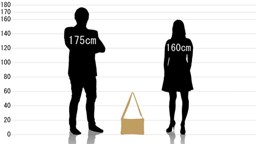 男女とポーター コッピの原寸サイズ比較
