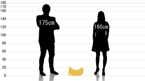 男女とチャムス スモールバナナショルダーの原寸サイズ比較