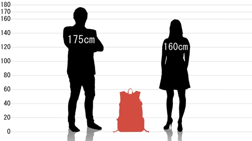 男女とコールマン ウォーカー33の原寸サイズ比較
