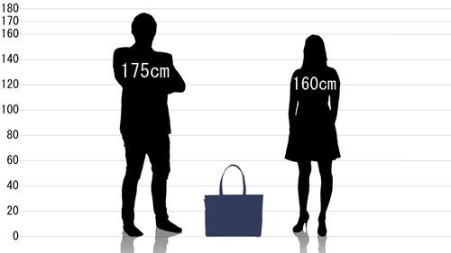男女とゴールドメン ビジネストートバッグ GB607の原寸サイズ比較