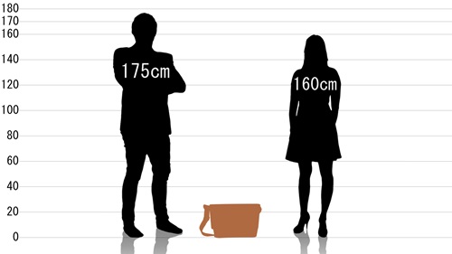 男女とリネーム ショルダーバッグ RSG50039の原寸サイズ比較