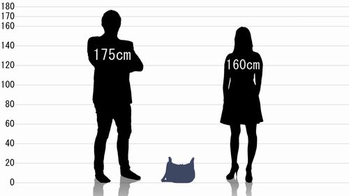 男女とコールマン クールショルダーSMの原寸サイズ比較
