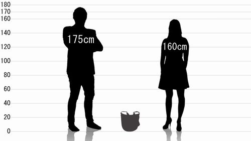 男女とブリーフィング ショルダーバッグ BRF105219の原寸サイズ比較